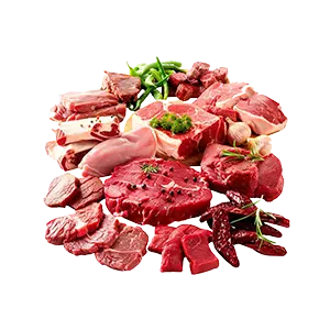Protein
