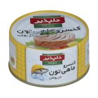 تن دلپذیر