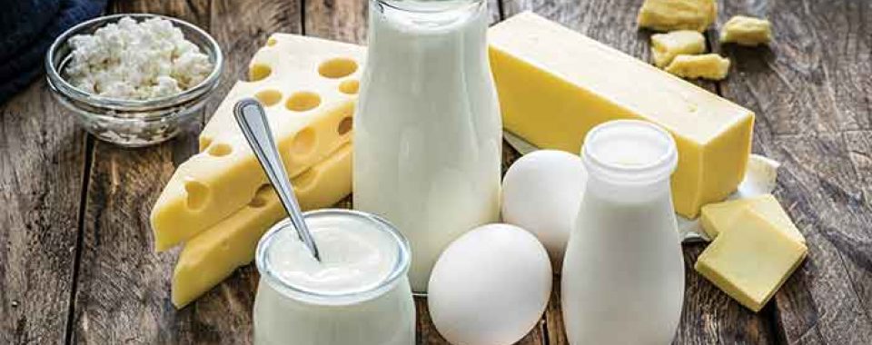 خواص-لبنیات-برای-بدن-انسان